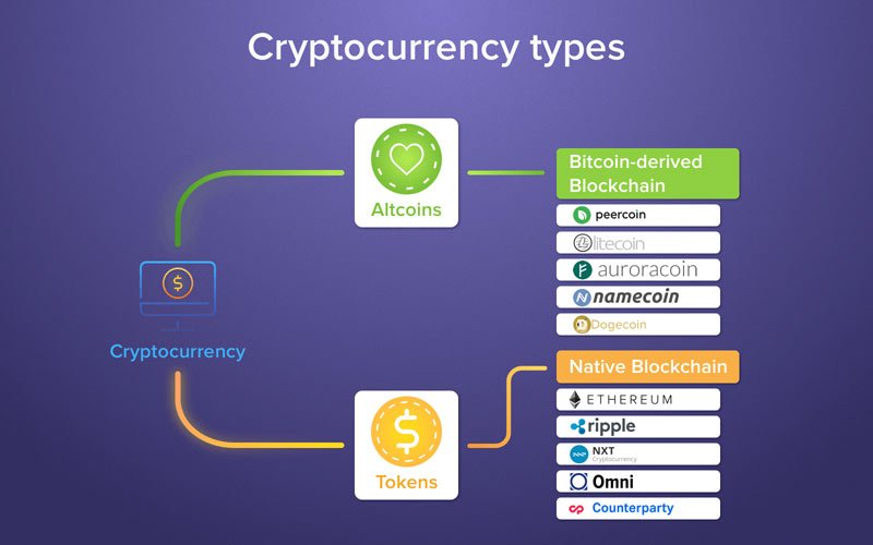 coin vs token