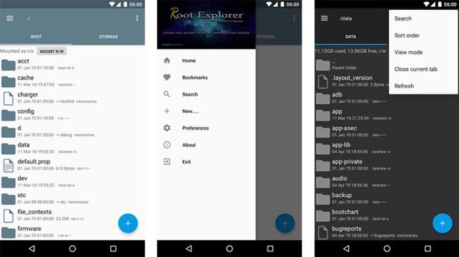 6 root
