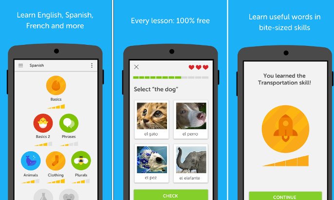 duolingo app