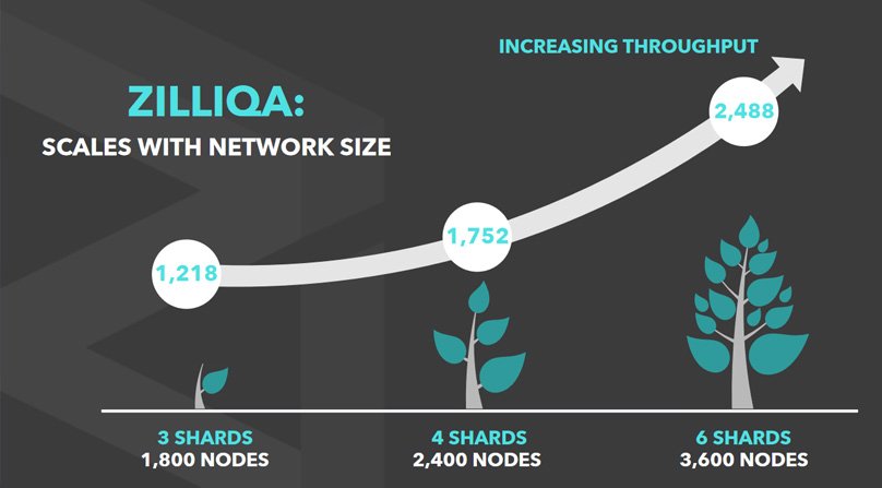 ¿Que es Zilliqa?: Análisis detallado de la criptomoneda 35 zilliq scaling