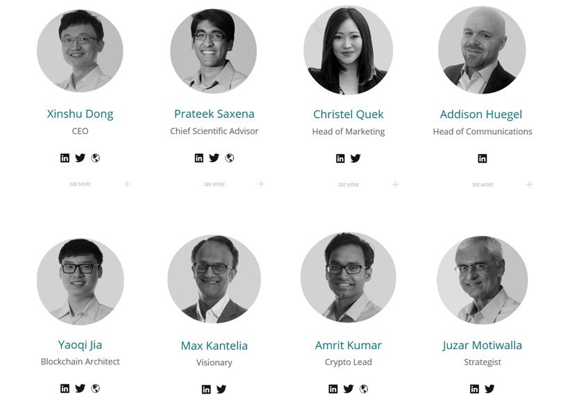 ¿Que es Zilliqa?: Análisis detallado de la criptomoneda 41 zilliqa team