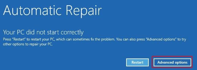 automatic repair windows 10 advanced options