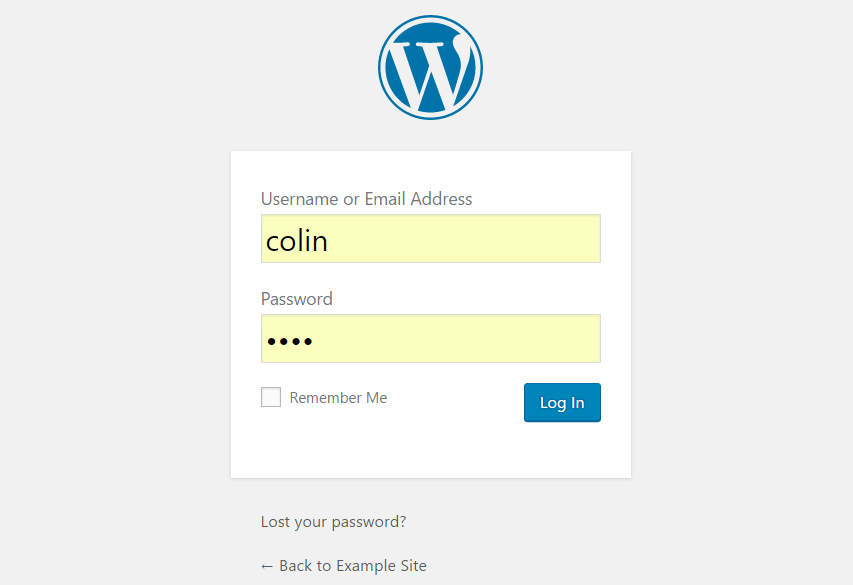 Cómo Instalar WordPress: Guía Completa para Principiantes 53 how to install wordpress 19