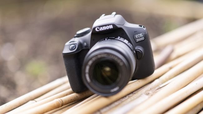 Las mejores cámaras réflex baratas para principiantes en 2019 44 9 canon