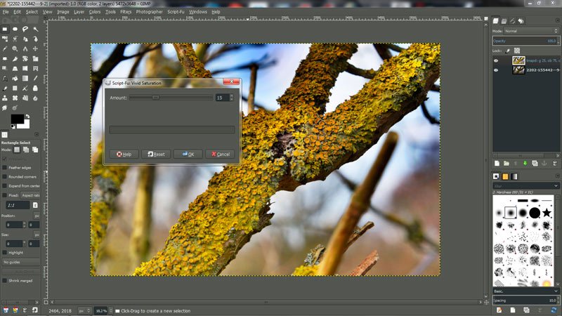 Gimp final