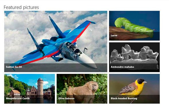 Las mejores aplicaciones para Windows 10 52 wikipedia 12