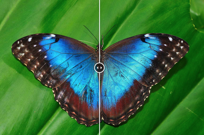 Los mejores plugins de Photoshop para diseñadores gráficos (2018) 52 18