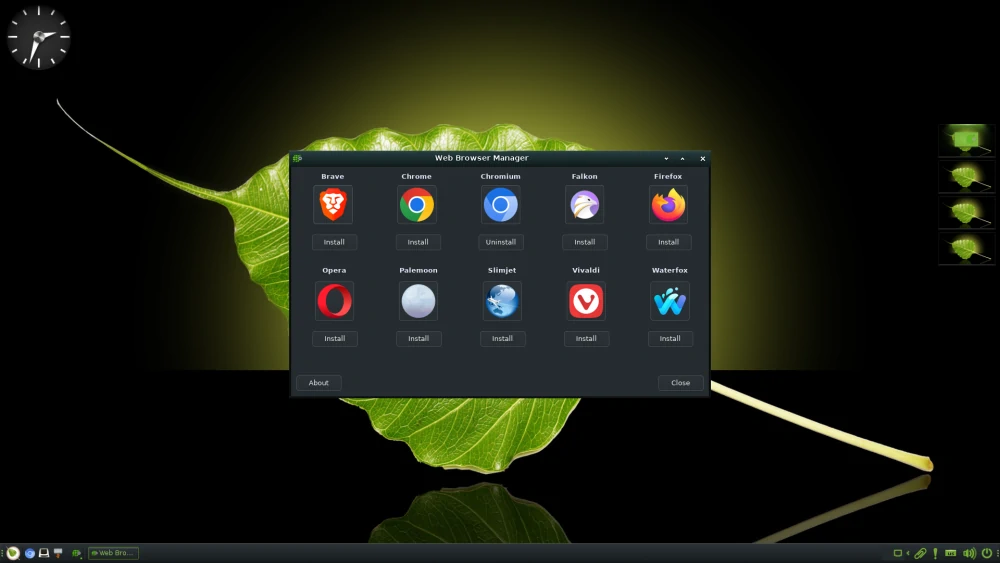 bodhi 7.0 web browser manager