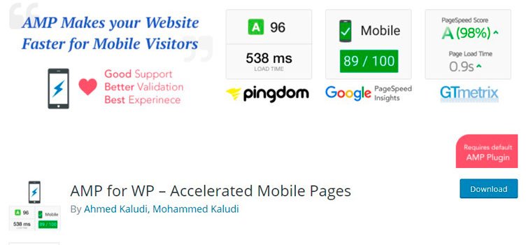 AMP para wp 2