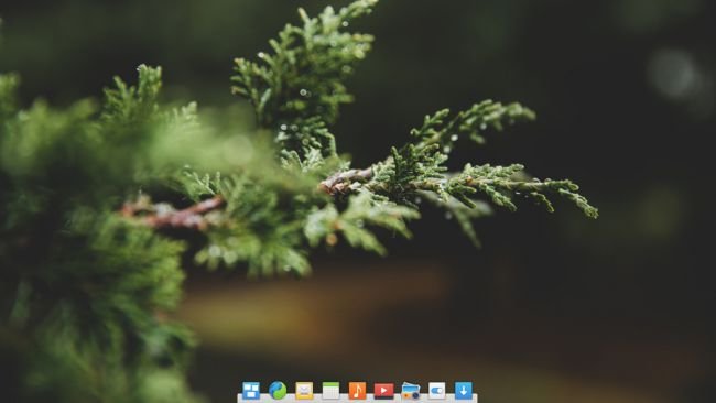 elementary