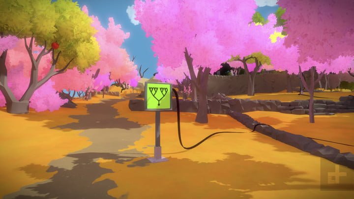 the witness