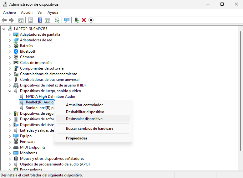 admin desinstalar realtek