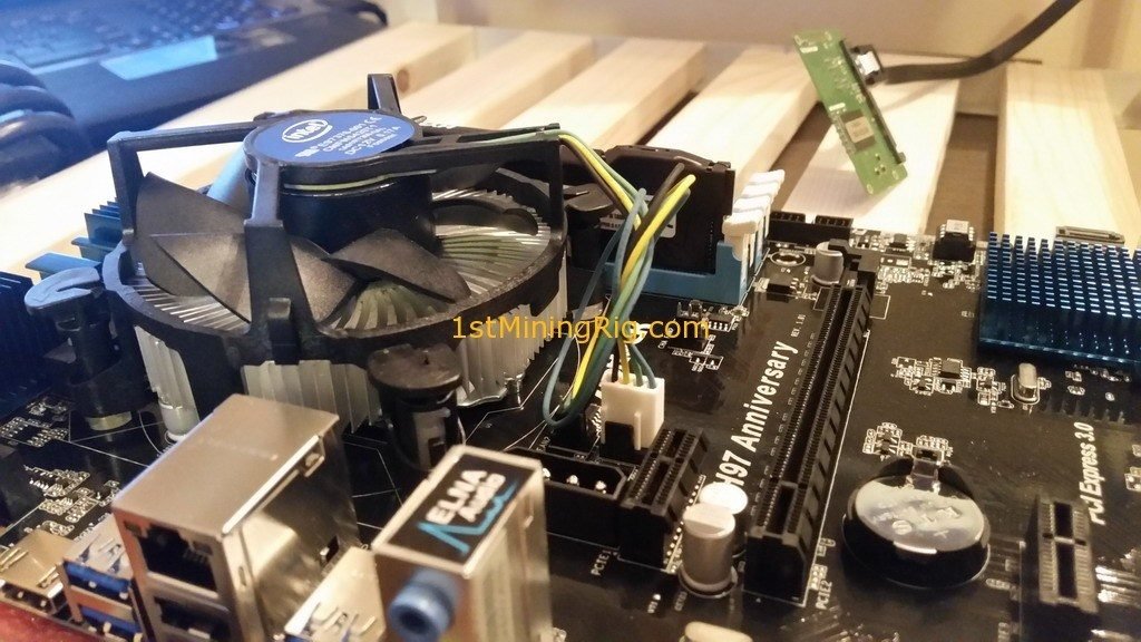 rig11