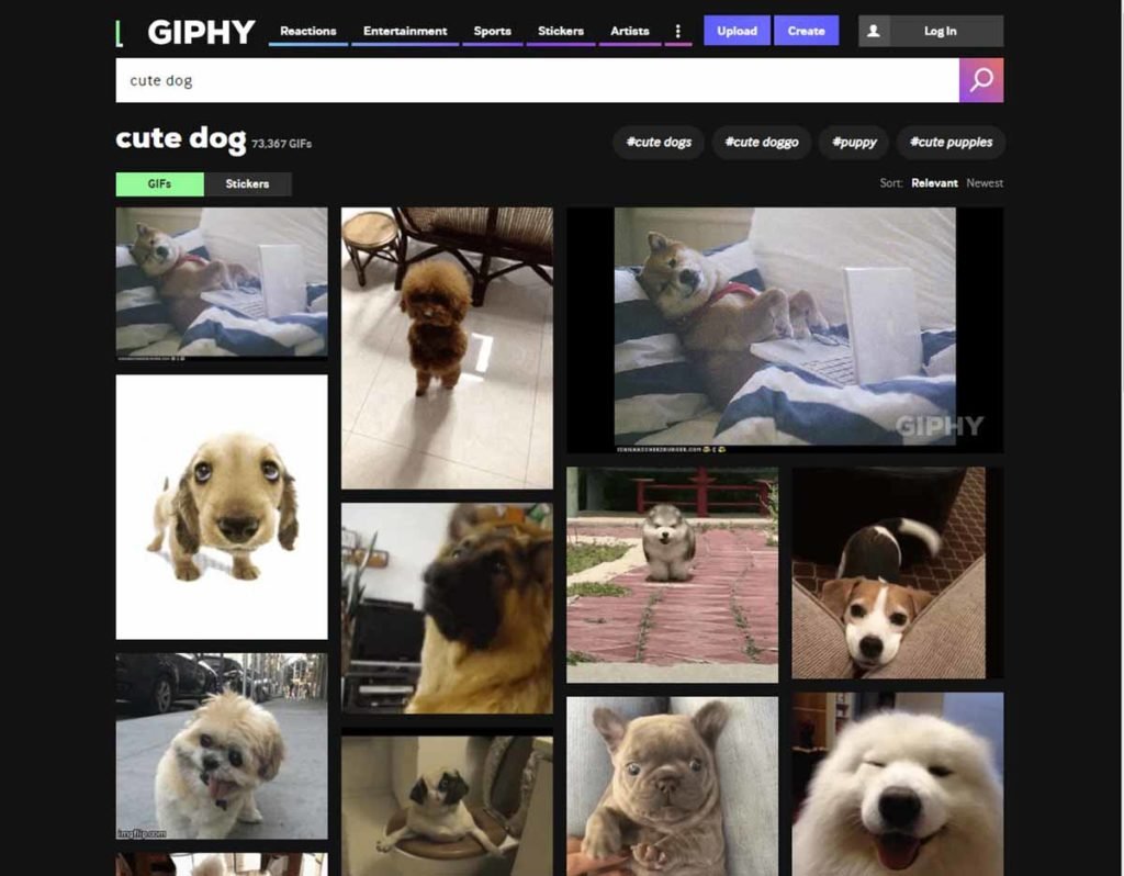 Cómo usar GIFs animados como fondos en Zoom 35 2 gifi a