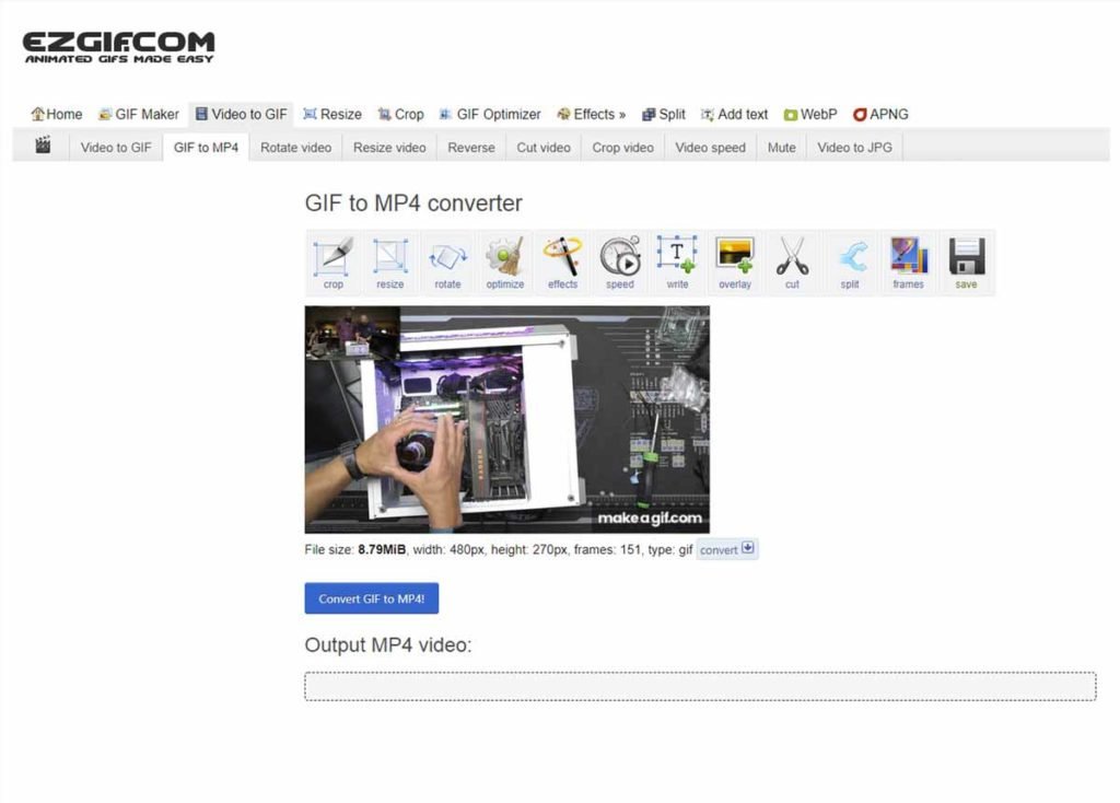 Cómo usar GIFs animados como fondos en Zoom 36 3 gif mp4 a