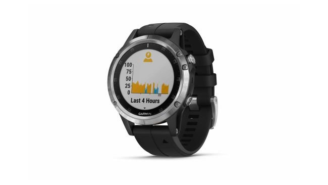 Garmin Fenix 5 Plus 1