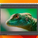 alternativas gratis a Photoshop