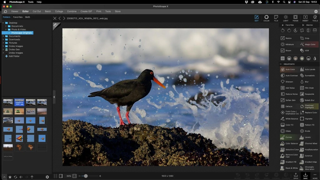 mejores alternativas gratuitas a Photoshop