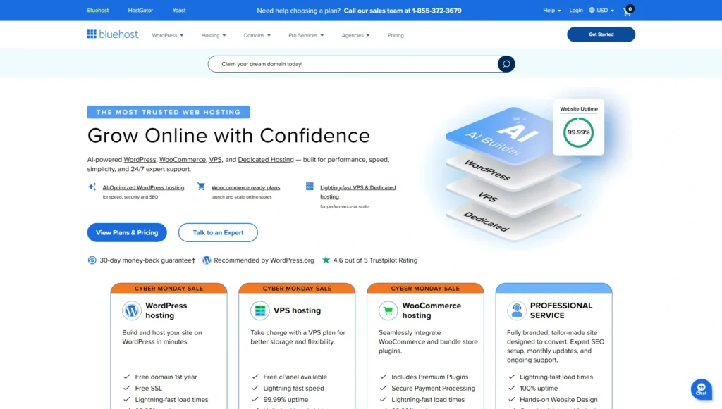 Mejores servicios de hosting barato en 2025: opciones seguras y rápidas para tu web 40 bluehost