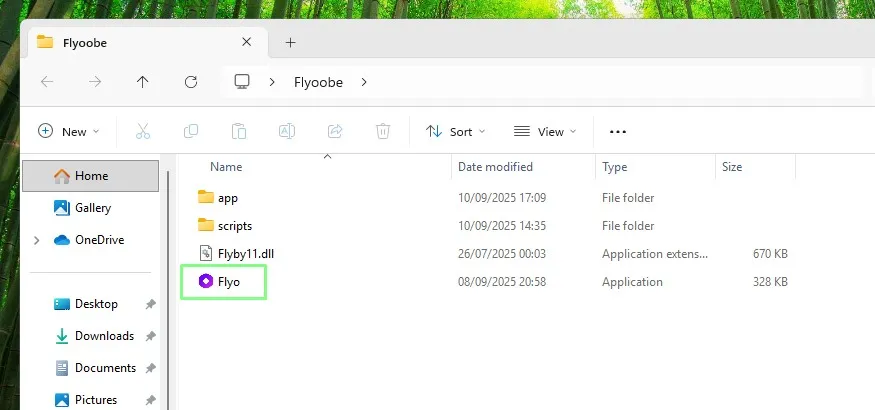 Crea tu propio Windows 11 ligero y optimizado con Flyoobe: Guía paso a paso 34 fli1