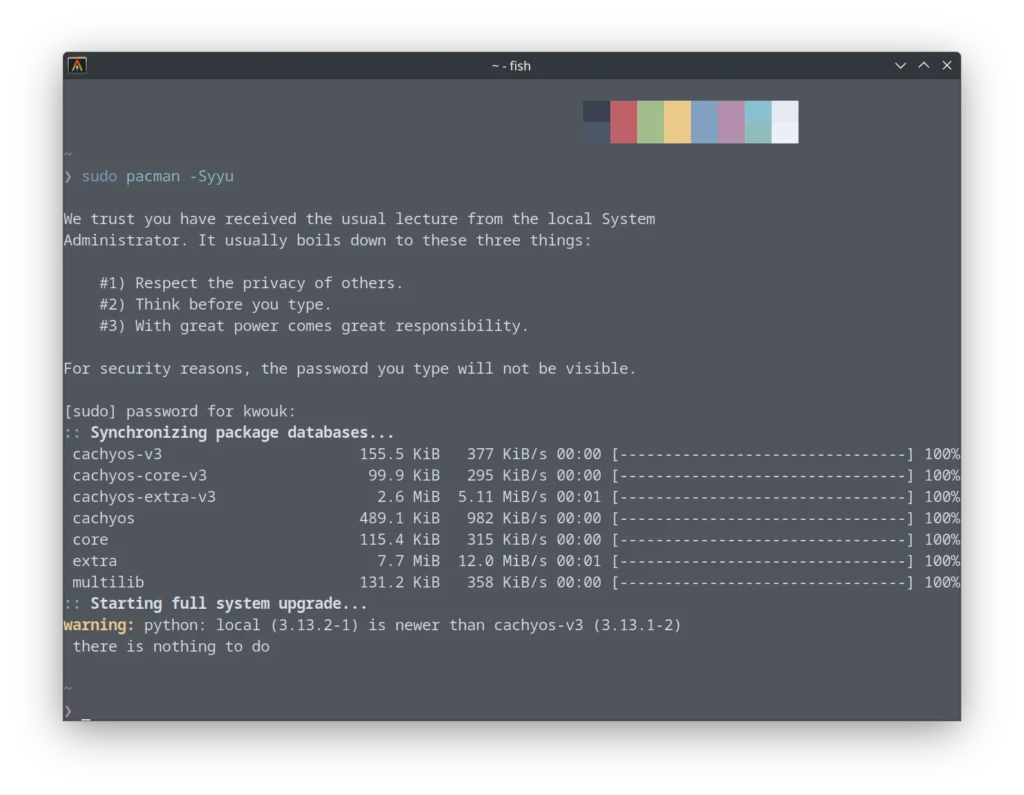 screenshot showing upgrading cachyos via the pacman command