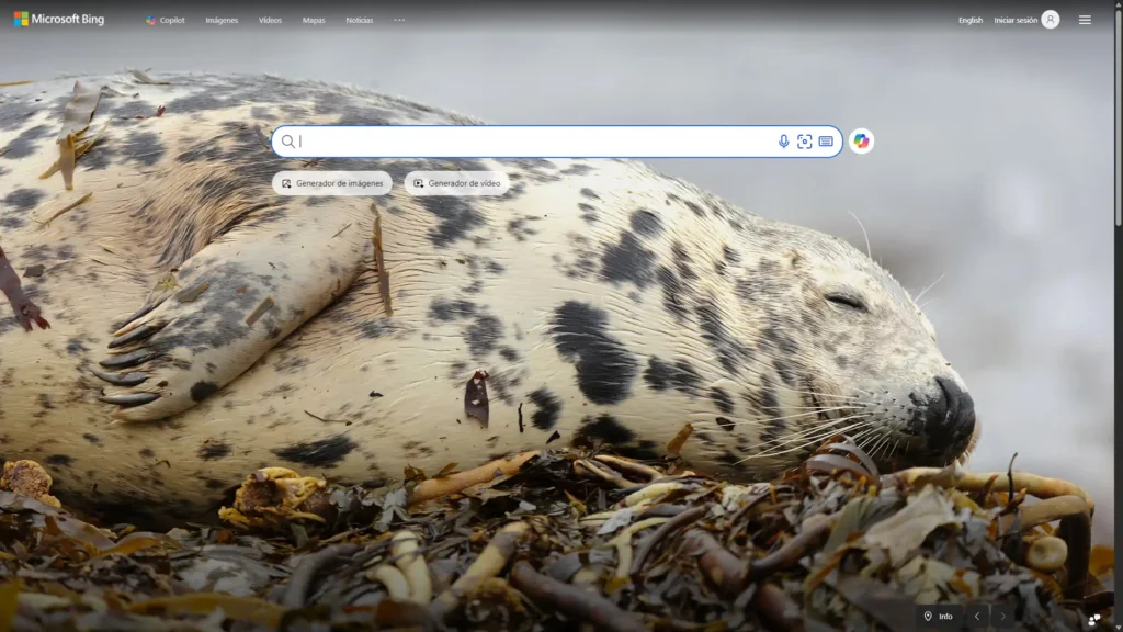 Las mejores alternativas a Google: buscadores para privacidad, IA y más en 2026 37 bing