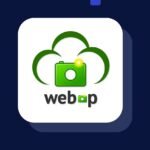 webp format