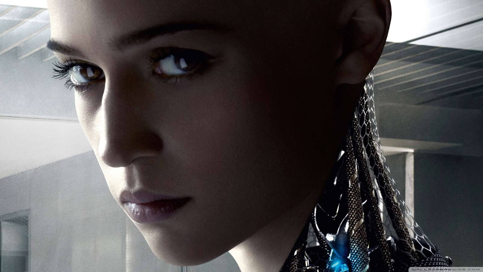 Las mejores películas sobre inteligencia artificial 33 peliculas inteligencia artificial