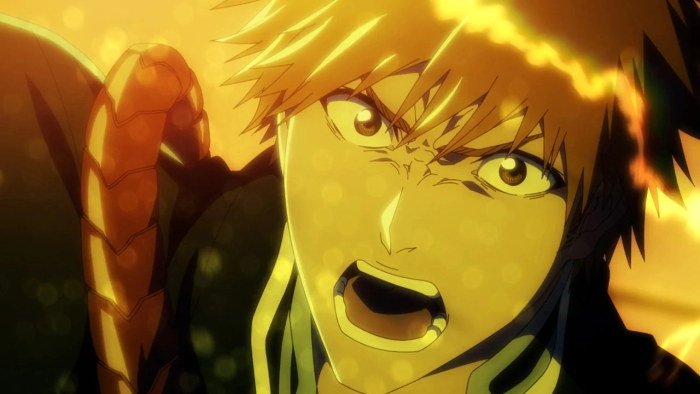 Bleach Sennen Kessen hen — Kashin tan