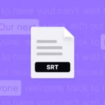 SRT file