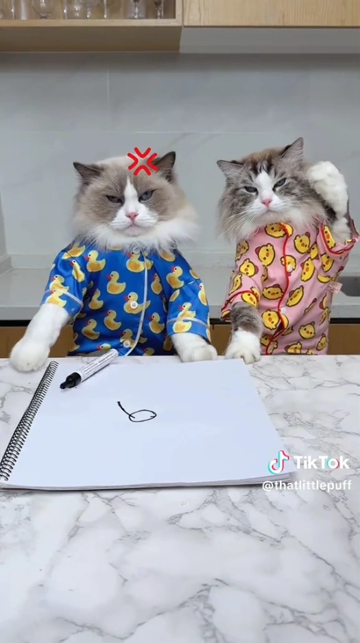 Cómo descargar videos de TikTok sin marca de agua: 7 métodos que sí funcionan 34 tiktok con marca de agua