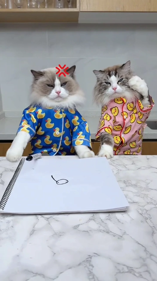 Cómo descargar videos de TikTok sin marca de agua: 7 métodos que sí funcionan 35 tiktok sin marca de agua
