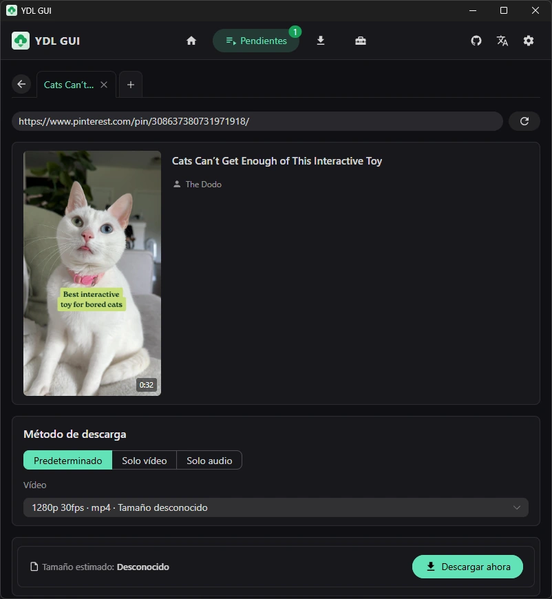 Cómo descargar vídeos de Pinterest: 9 métodos que realmente funcionan 41 ydl gui