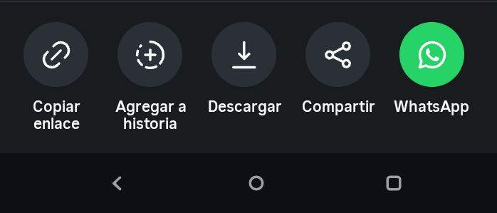 Cómo descargar vídeos de Instagram gratis y sin marca de agua: métodos efectivos 34 descargar