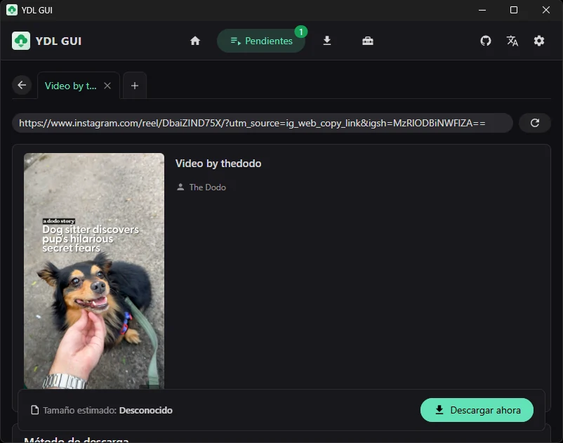 Cómo descargar vídeos de Instagram gratis y sin marca de agua: métodos efectivos 41 ydl gui insta